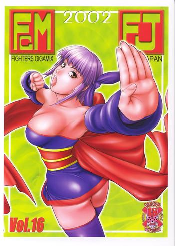fighters gigamix fgm vol 16 cover
